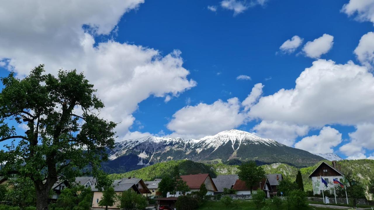 Guesthouse Osvald Zirovnica Zewnętrze zdjęcie