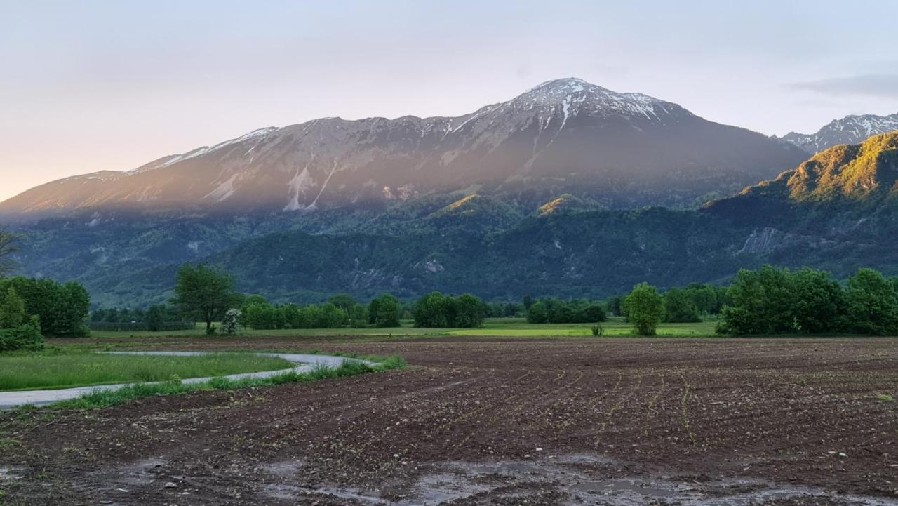 Guesthouse Osvald Zirovnica Zewnętrze zdjęcie